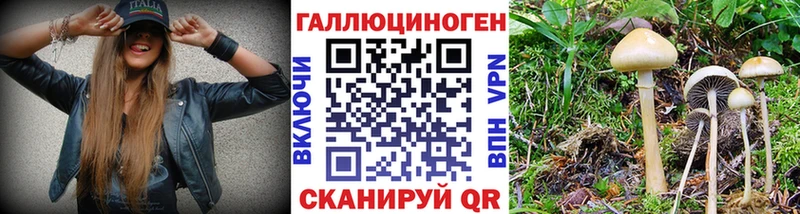 Галлюциногенные грибы Psilocybe  Нефтекамск 
