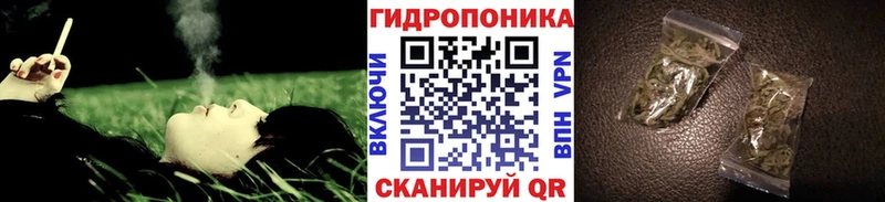МАРИХУАНА сатива  наркотики  Нефтекамск 